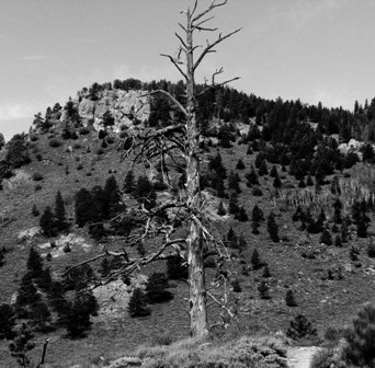 still standing